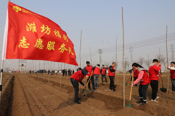 潍坊福彩组织开展义务植树活动